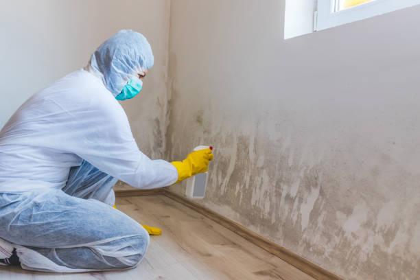 Hvac And Air Duct Mold Remediation inspection of HVAC system in Hume
