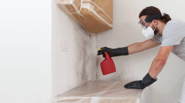 Attic Mold Remediation treatment on roof deck in Hume